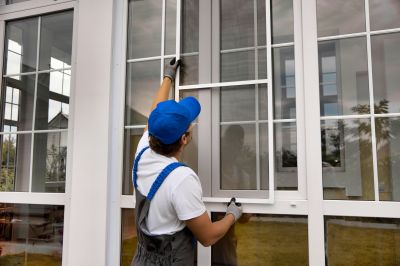 Local Window Replacement Experts